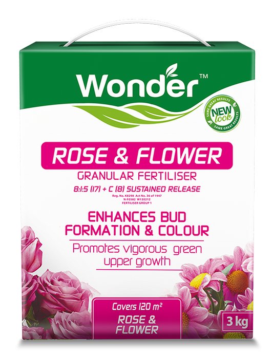 Wonder Rose and Flower