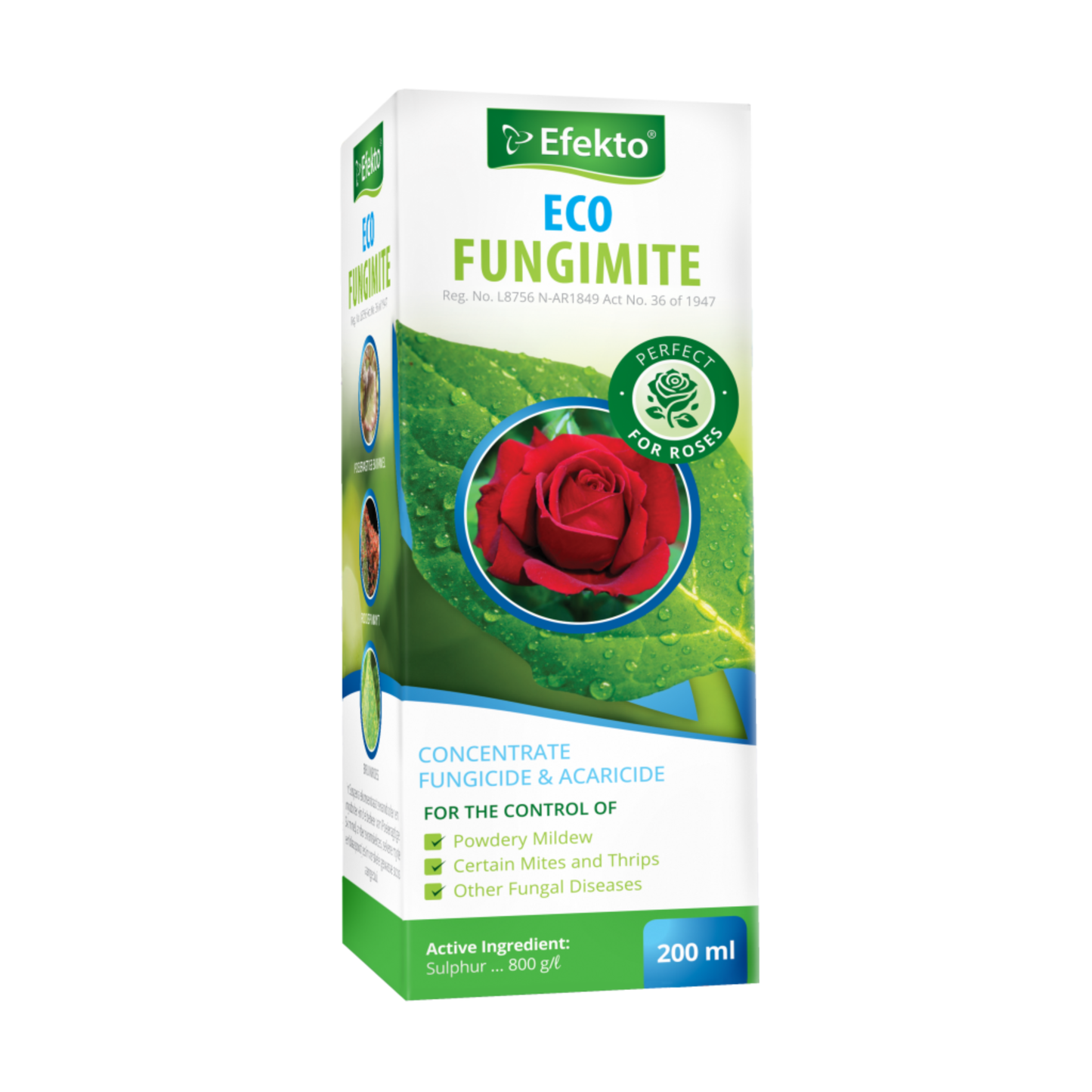 Efekto Eco Fungimite