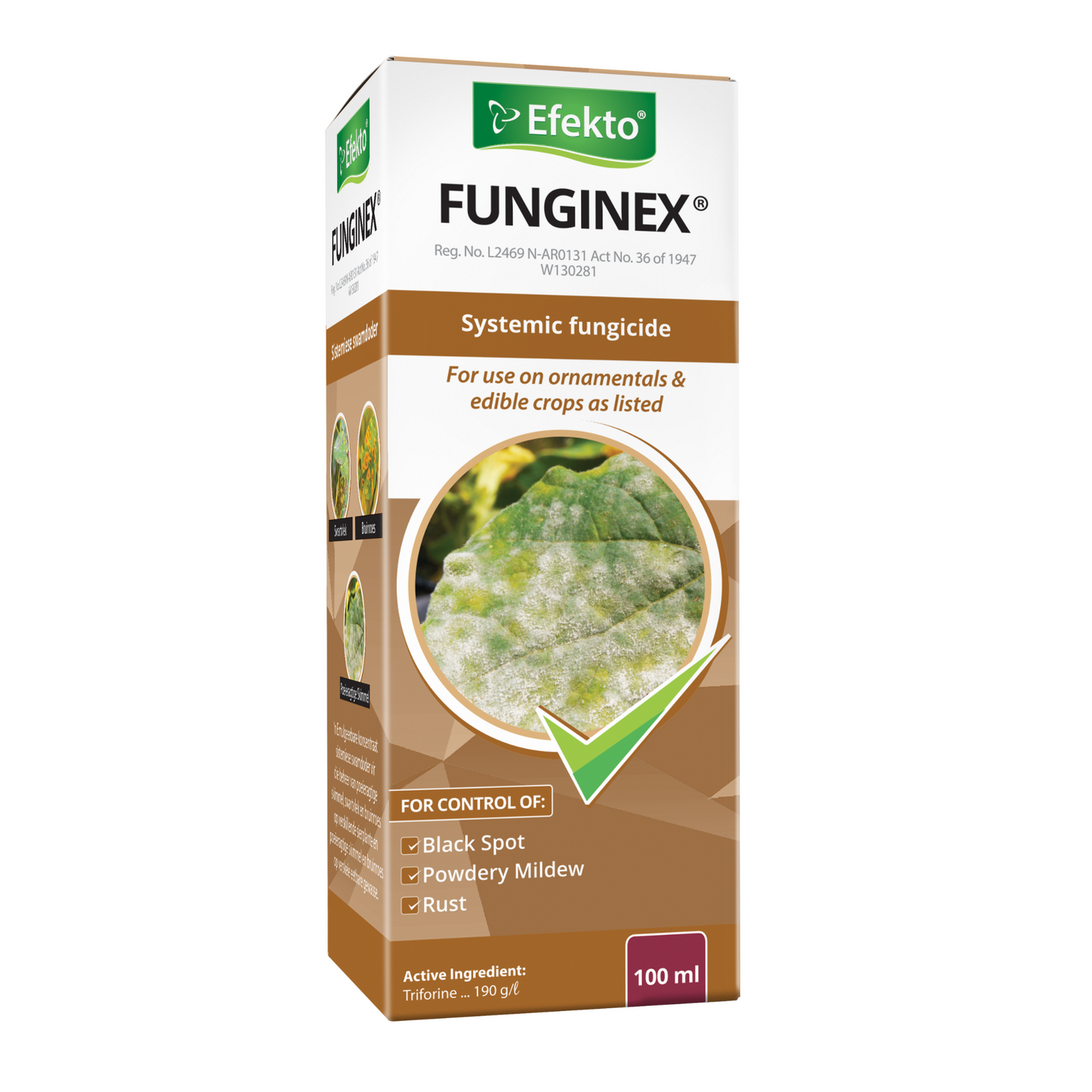 Funginex