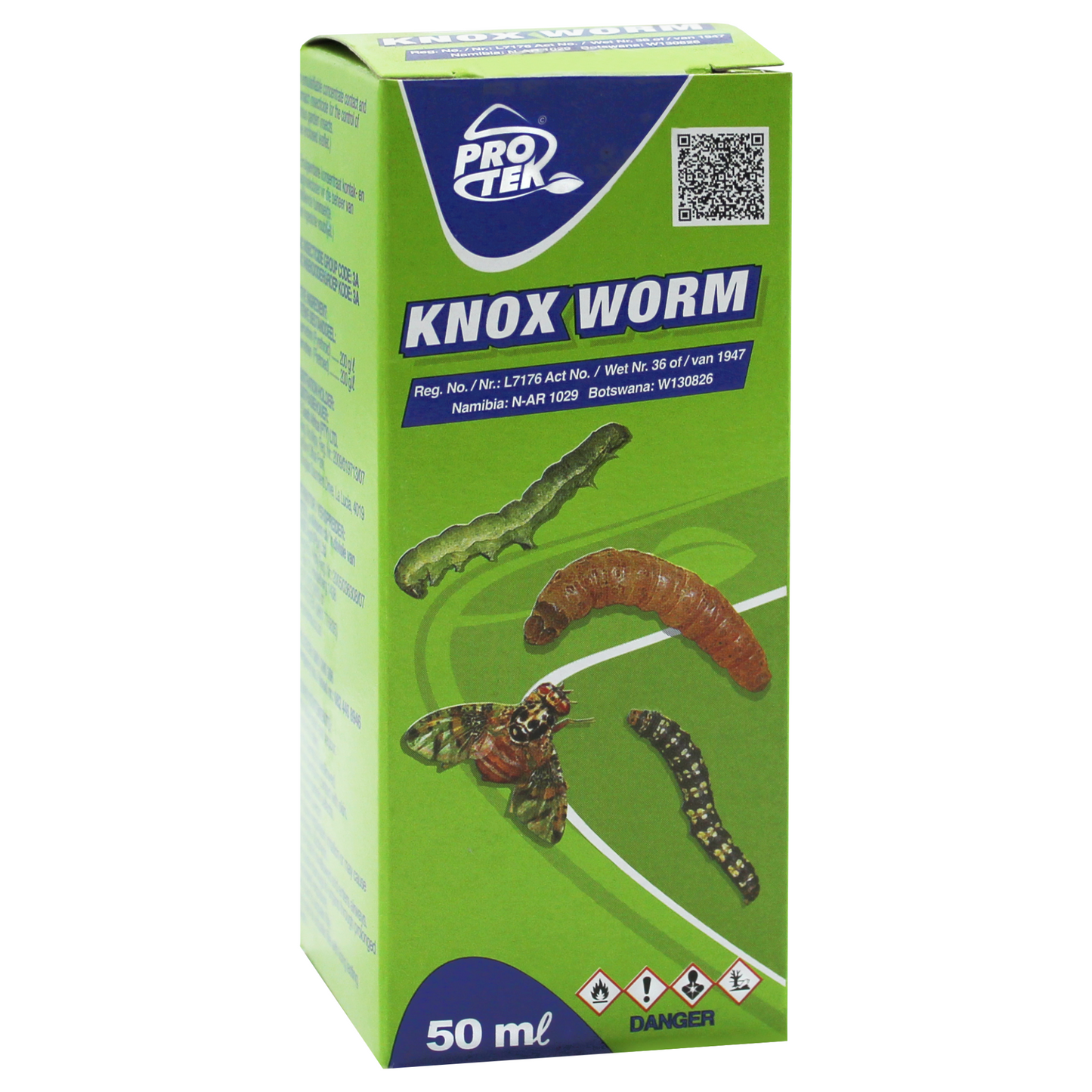 Knox Worm