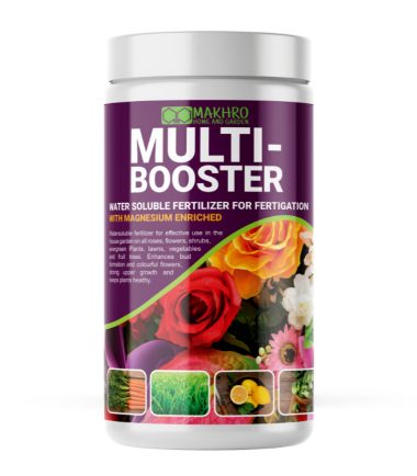 Multi-Booster