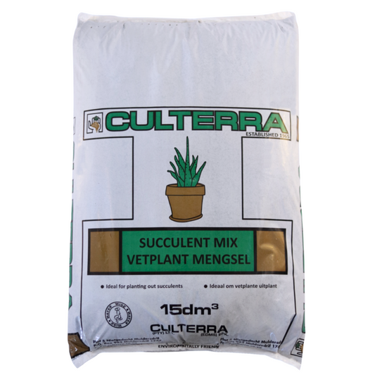 Succulent Mix