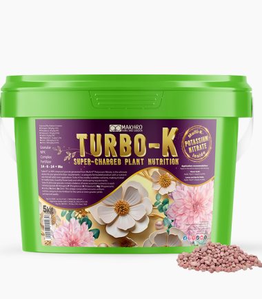 Turbo-K