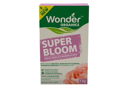 Wonder Super Bloom