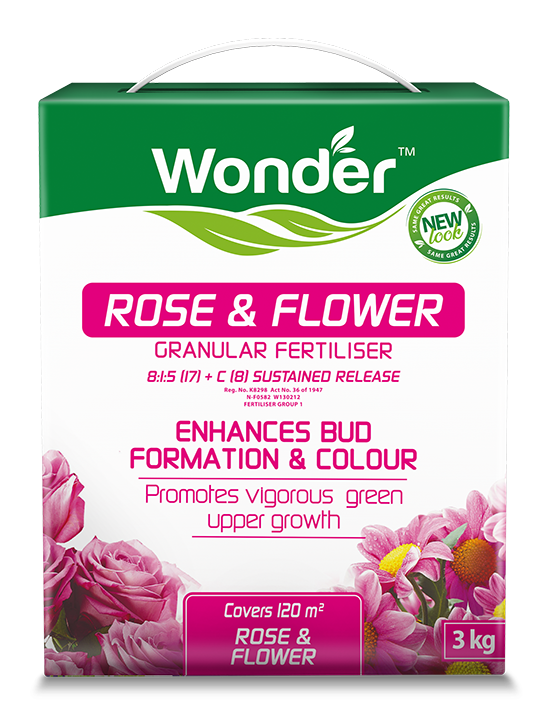 Wonder Rose and Flower