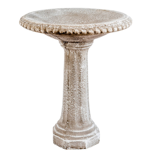 Plover bird bath