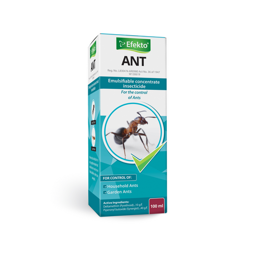 Efekto Ant