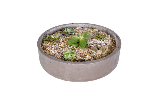 Chi planter