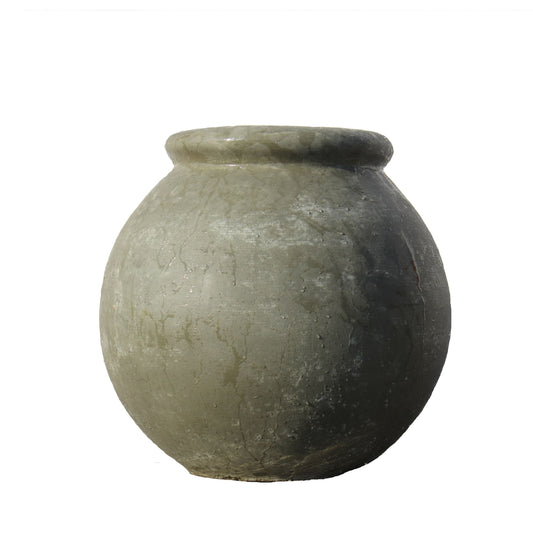 Crinum pot