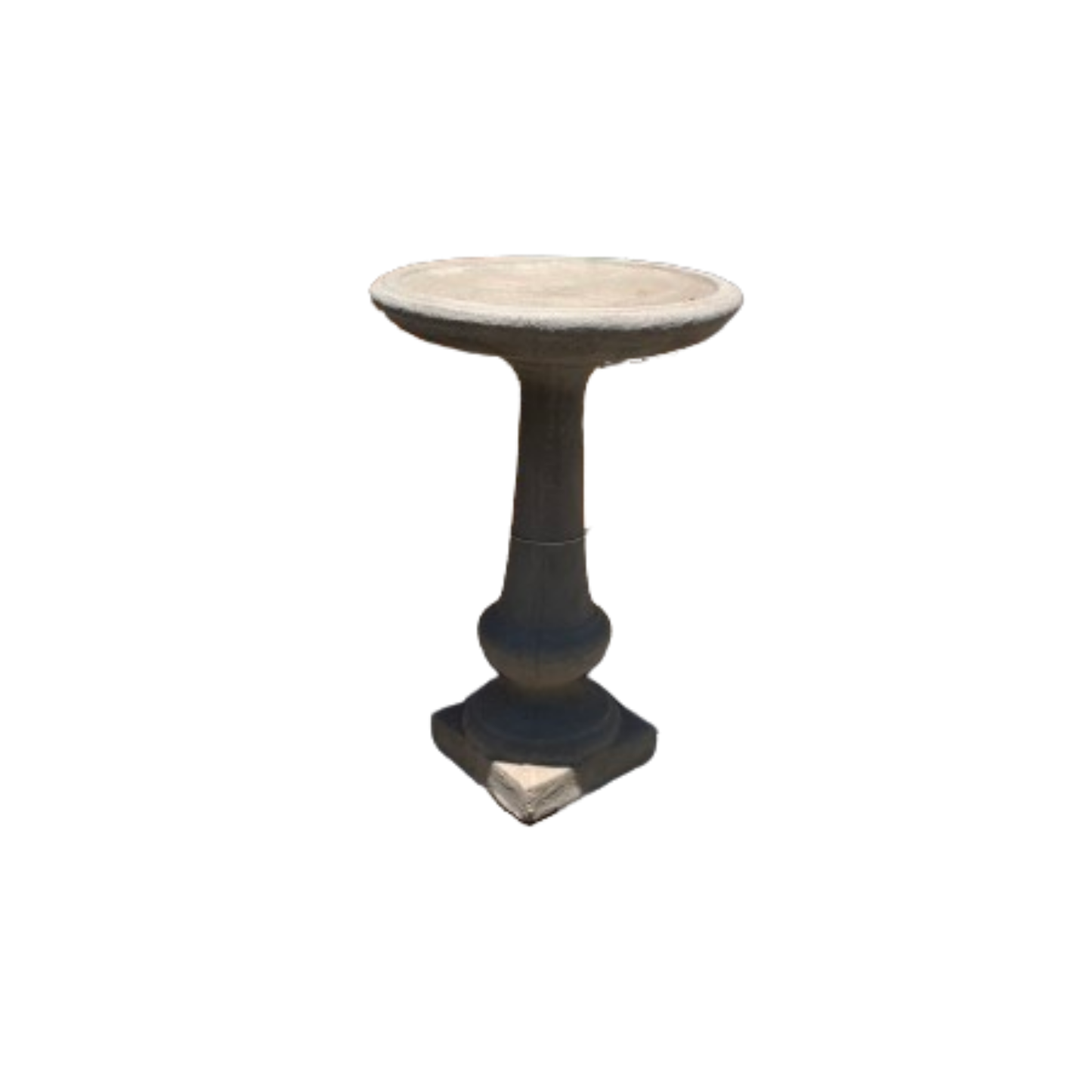 Dolphin bird bath shallow