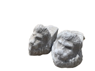 Pot feet (Lions head)