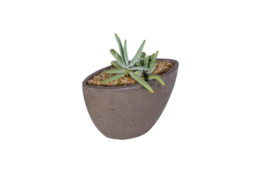 Tai planter